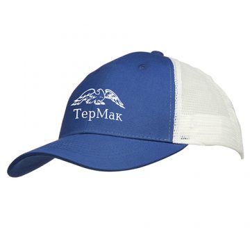Topi